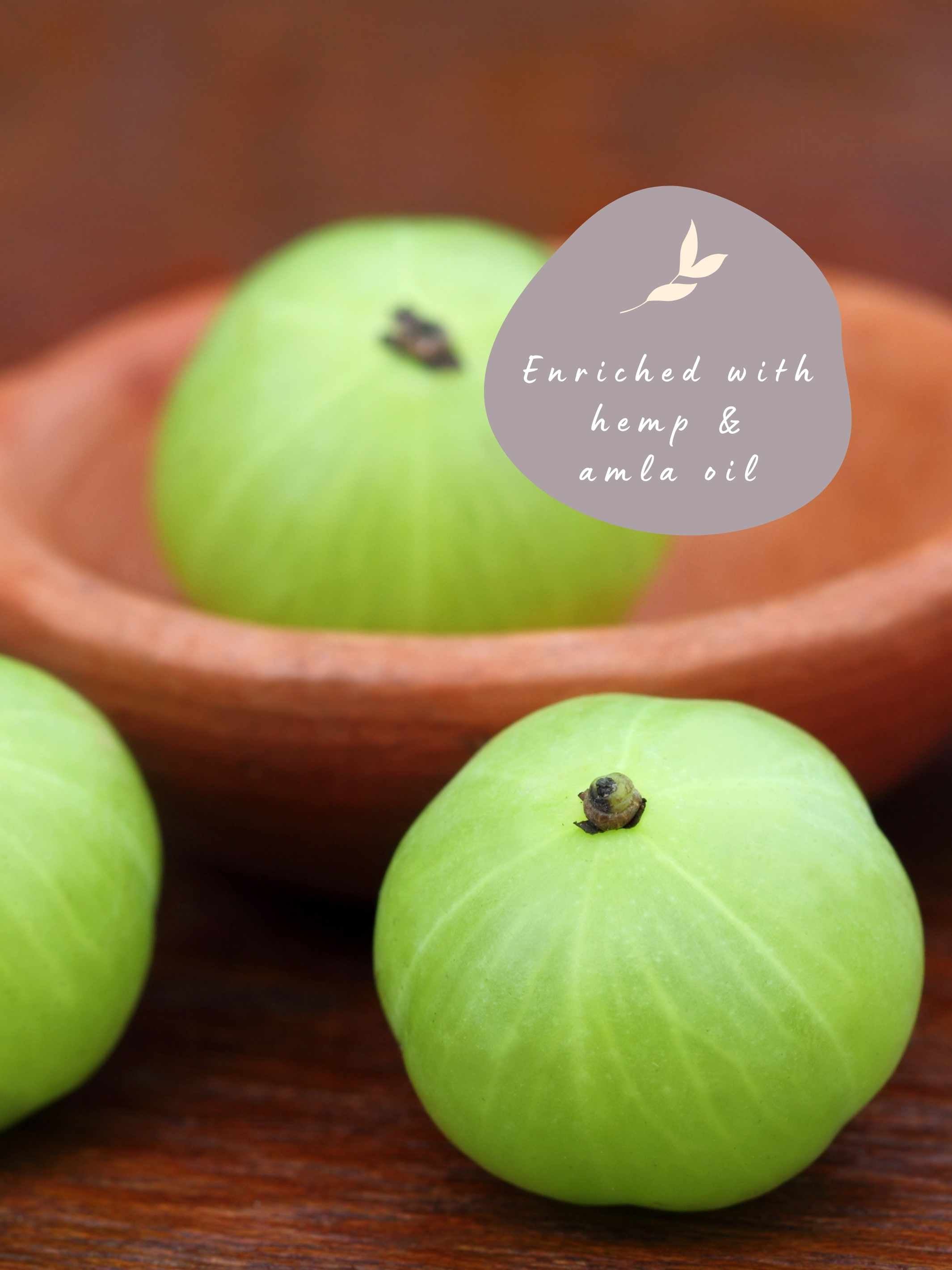 Amla Plant