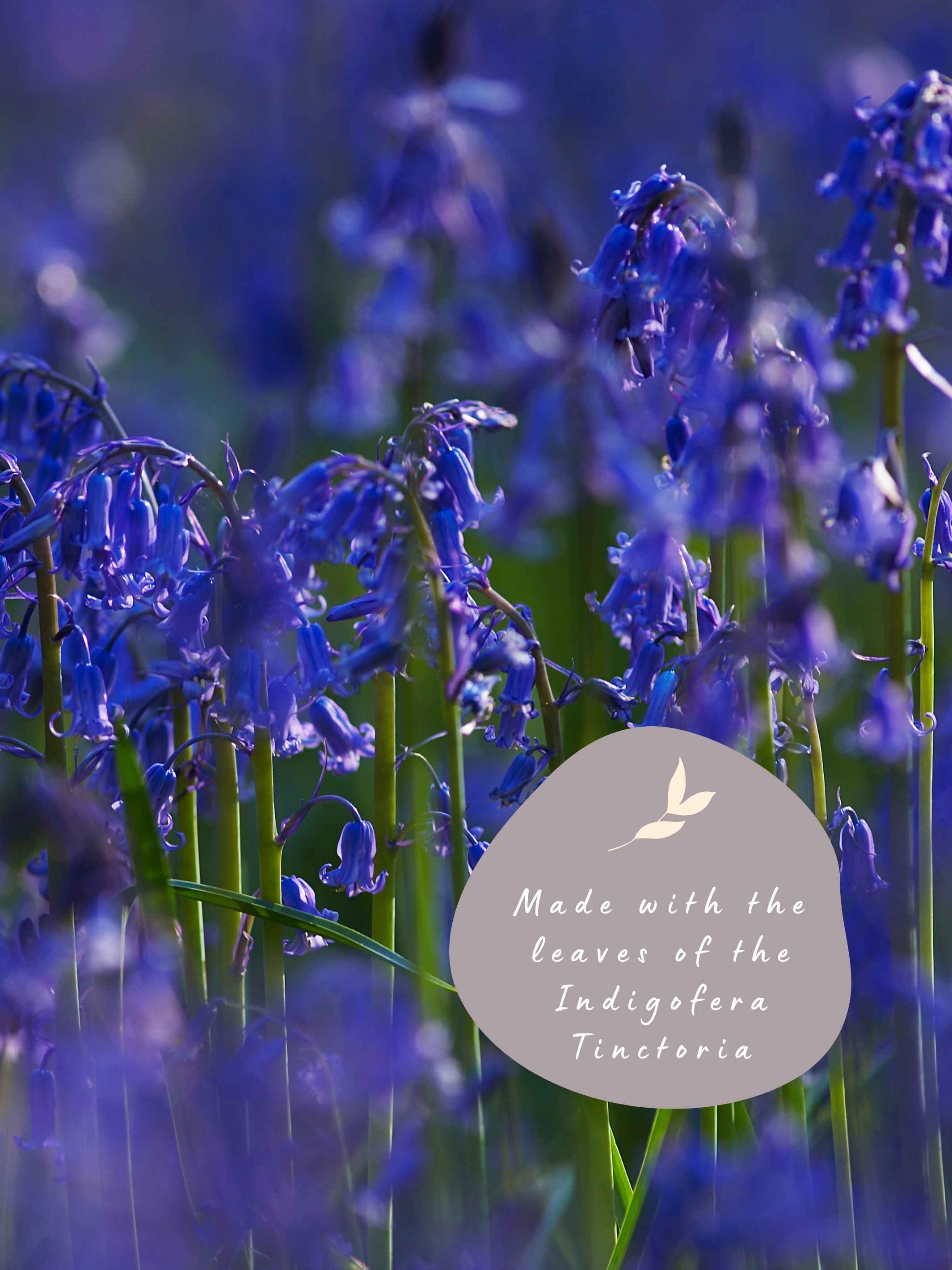 Indigo flowers - Plant-Based Hair Colour by Conlemany®