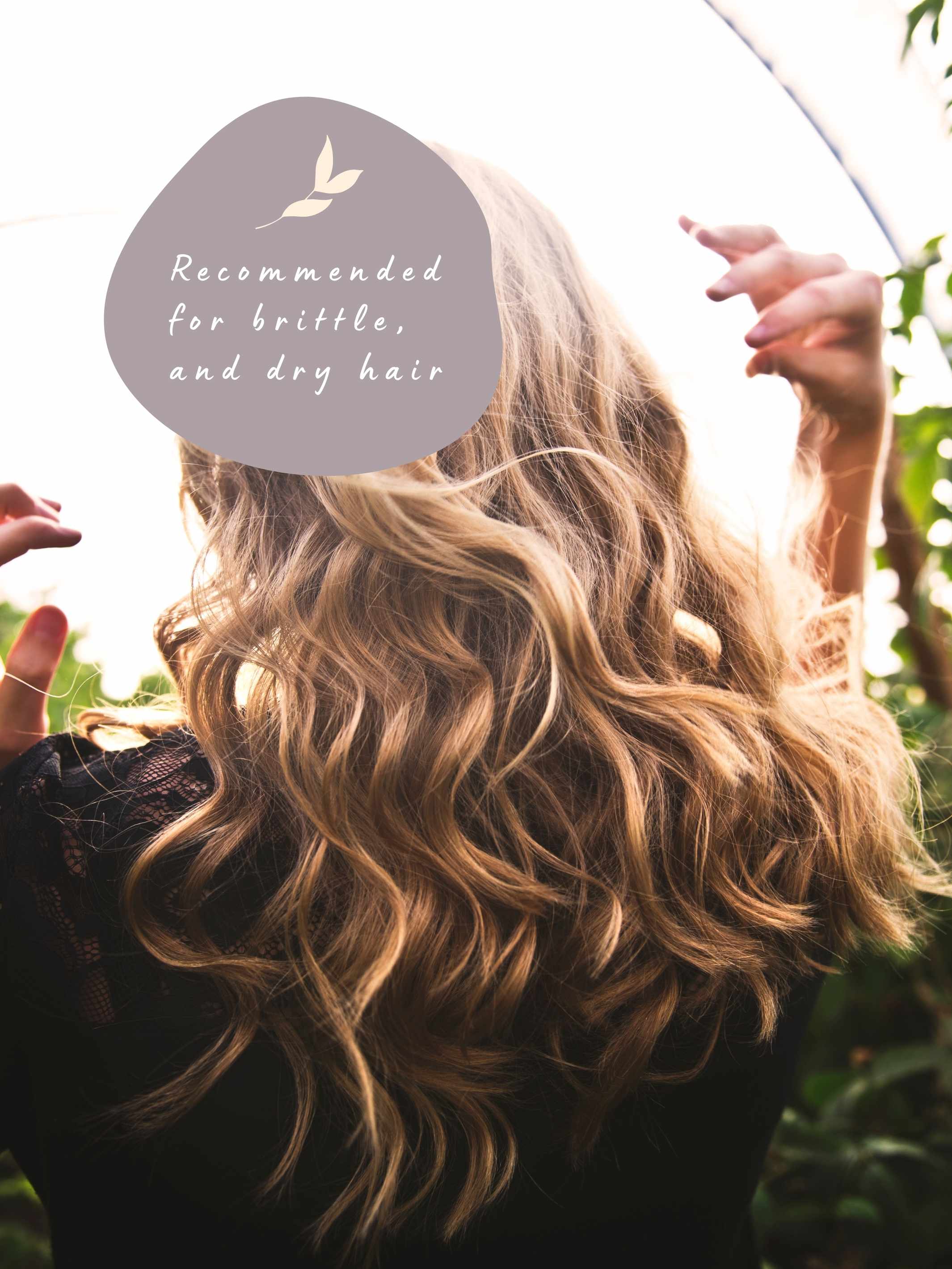 Organic Hair Repair Shampoo - Hemp Oil & Linseed