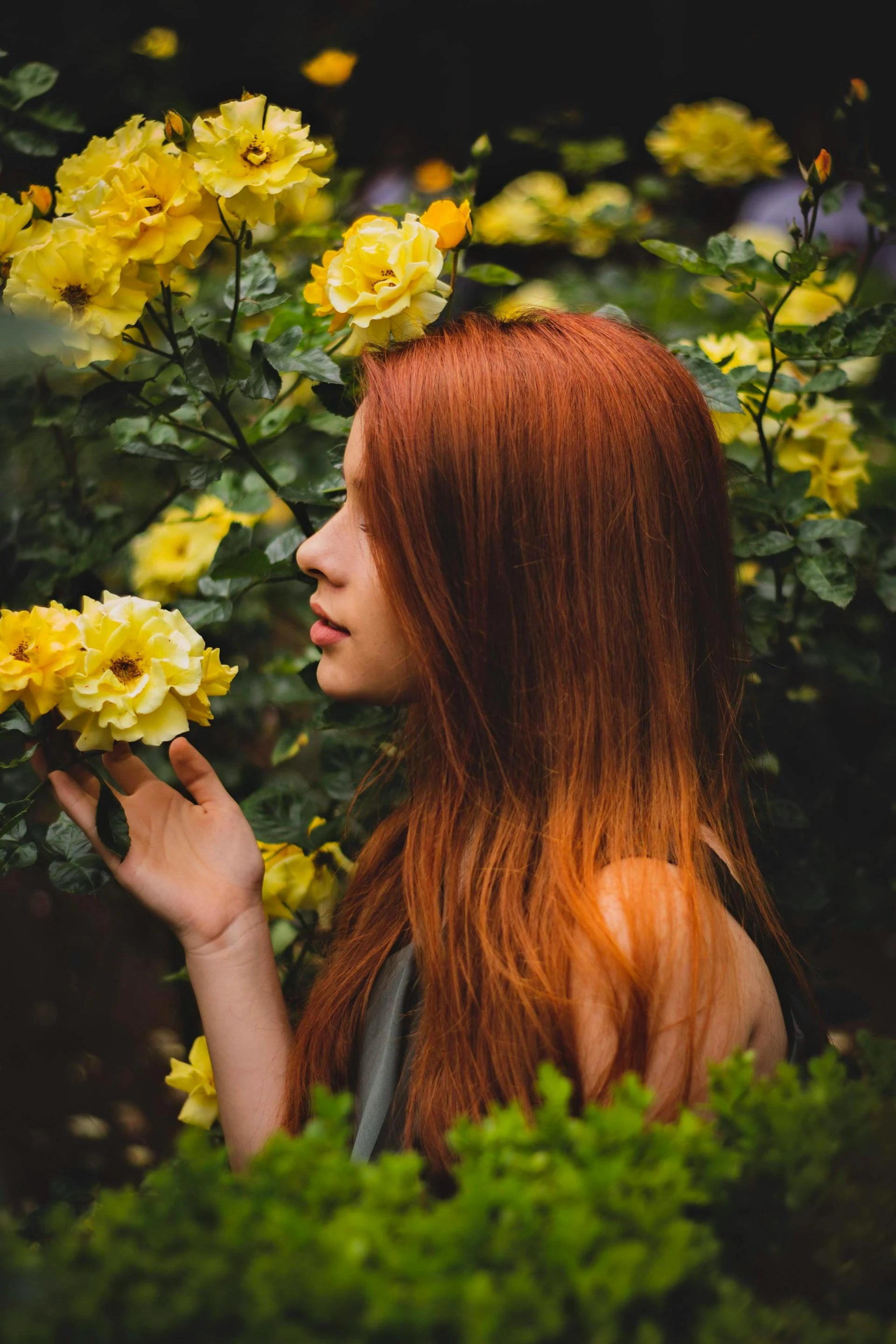 Copper Hair Tone