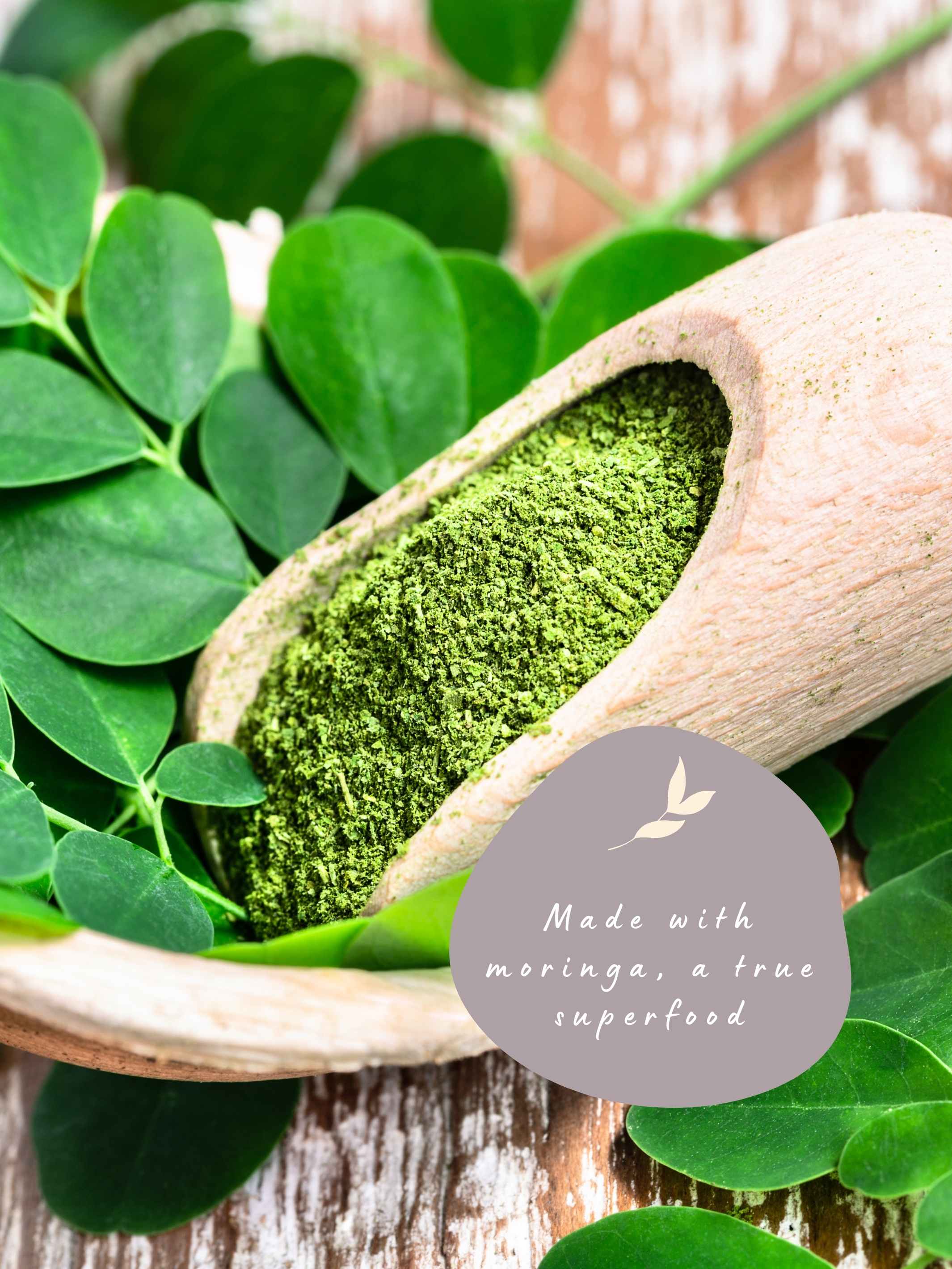 Moringa Powder